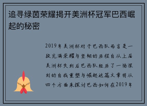 追寻绿茵荣耀揭开美洲杯冠军巴西崛起的秘密 追寻绿茵荣耀揭开美洲杯冠军巴西崛起的秘密